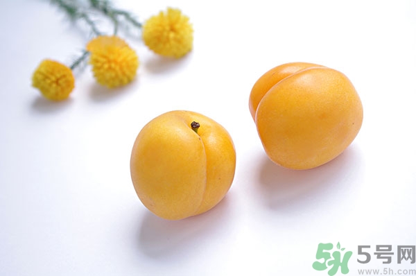 吃杏子能減肥嗎？杏子的功效與作用