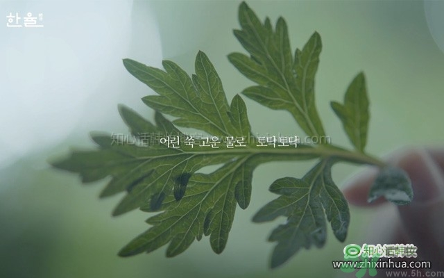 韓律艾草補(bǔ)水鎮(zhèn)靜噴霧怎么樣？好用嗎？