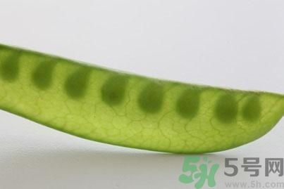 煮豌豆怎么做好吃？煮豌豆的做法