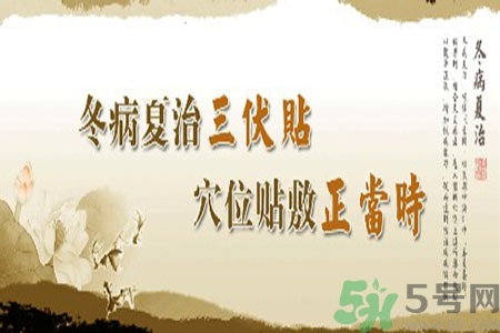 貼三伏貼癢怎么回事？貼三伏貼過敏怎么辦？