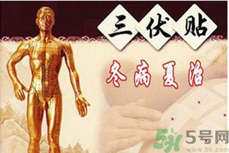 胃病可以貼三伏貼嗎？胃病貼三伏貼貼哪里？