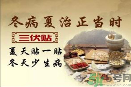 胃病可以貼三伏貼嗎？胃病貼三伏貼貼哪里？