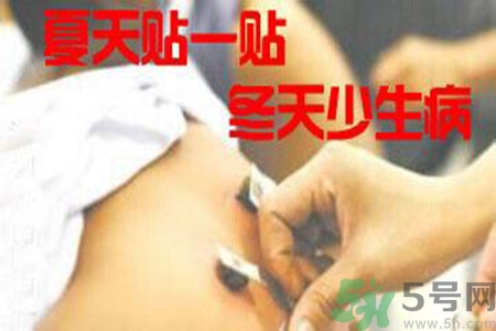 腰痛貼三伏貼有用嗎？腰痛三伏貼貼哪個(gè)穴位？