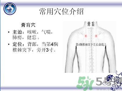 三伏貼可以貼肚臍嗎？三伏貼可以貼肚臍眼嗎？