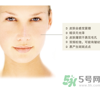 干性皮膚用什么洗面奶？干性皮膚該怎么保養(yǎng)？