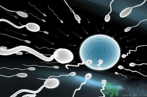 高溫對(duì)精子有影響嗎？高溫對(duì)精子有什么影響？