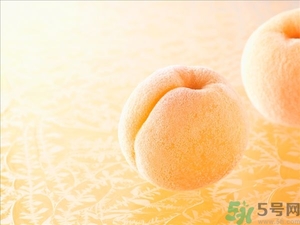杏子不太熟能吃嗎？杏子不太熟怎么辦？
