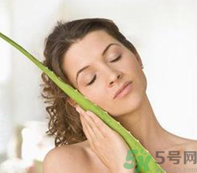 蘆薈膠會(huì)堵塞毛孔嗎？蘆薈膠應(yīng)該怎么用？