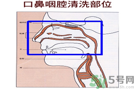 鼻炎能用生理鹽水清理鼻腔嗎？鼻炎能不能用生理鹽水清理鼻腔？