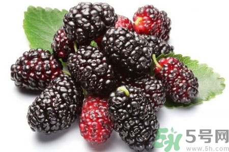 桑葚怎么洗？桑葚怎么保存？