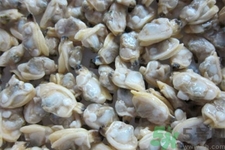 花蛤的營養(yǎng)價值有哪些？生取蛤肉的方法是什么？