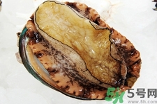 鮑魚(yú)如何挑選？鮑魚(yú)如何保存？