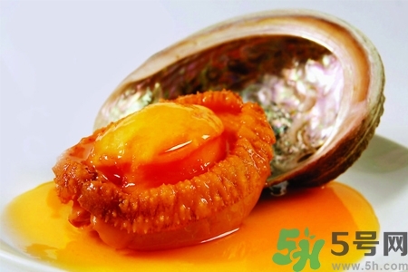 鮑魚如何挑選？鮑魚如何保存？