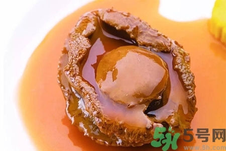 鮑魚(yú)如何挑選？鮑魚(yú)如何保存？