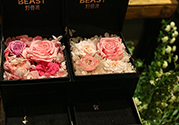 野獸派的花多少錢？野獸派的花哪里買？