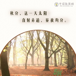 立秋是秋分嗎？立秋和秋分的區(qū)別？