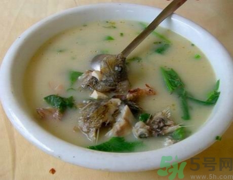 煲湯用什么魚(yú)好?什么魚(yú)適合煲湯?