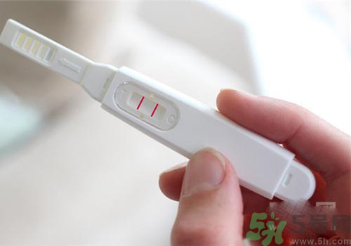 驗孕棒是什么原理？驗孕棒是不是一定要用晨尿？