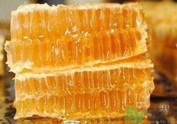糖尿病可以吃蜂膠嗎？吃蜂膠降血糖嗎？