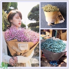 七夕送女朋友什么花？七夕送女朋友花送幾朵？