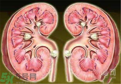 慢性腎炎能治好嗎？慢性腎炎能活多久？