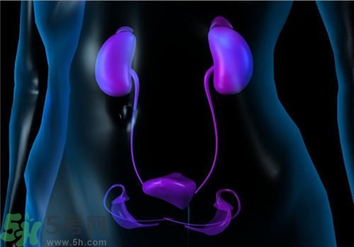 慢性腎炎能治好嗎？慢性腎炎能活多久？
