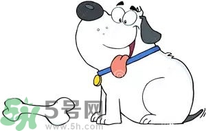七夕單身狗怎么過？單身怎么過七夕？