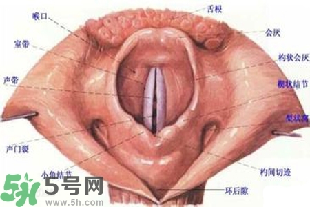 慢性咽炎的發(fā)病因素？慢性咽炎的并發(fā)癥有哪些？