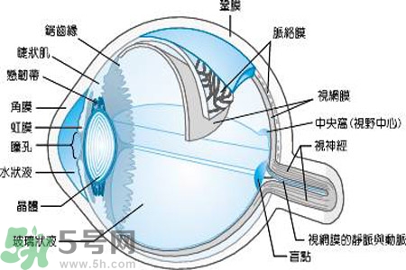 近視眼是什么？近視眼的癥狀有哪些？