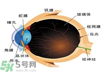近視眼高發(fā)人群？如何預防近視眼？