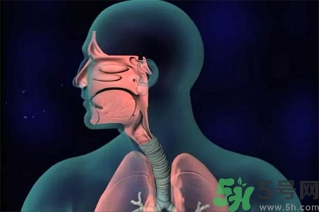 過敏性鼻炎的高發(fā)人群有哪些？如何預防過敏性鼻炎？