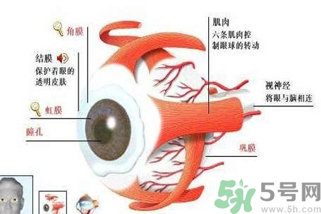 白內(nèi)障的護理措施是什么？白內(nèi)障的飲食護理有哪些？