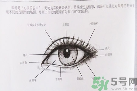 白內(nèi)障的發(fā)病因素是什么？白內(nèi)障并發(fā)癥有哪些？