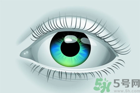 青光眼的高發(fā)人群有哪些？如何預(yù)防青光眼？