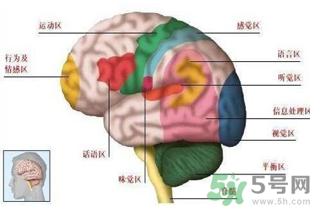 腦出血的發(fā)病因素是什么？腦出血的并發(fā)癥有哪些？