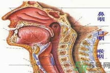 鼻咽癌的治療方法是什么？鼻咽癌可以用什么藥物治療？