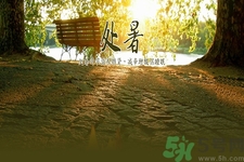 處暑喝什么茶？處暑養(yǎng)生茶推薦