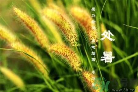 處暑出生的人怎么取名？處暑出生的人的命運？
