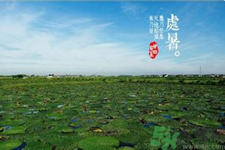 處暑出生的人怎么取名？處暑出生的人的命運(yùn)？