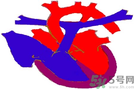 心臟病是怎么形成的？易發(fā)人群有哪些？
