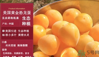 恐龍蛋水果怎么吃？恐龍蛋水果皮能吃嗎？
