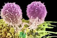 不宜過多食用辣椒的人群有哪些？夏天吃辣椒的好處有哪些？