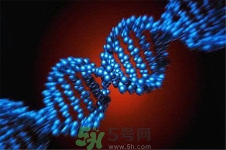 癌癥為什么會復(fù)發(fā)？癌癥復(fù)發(fā)的原因有哪些？