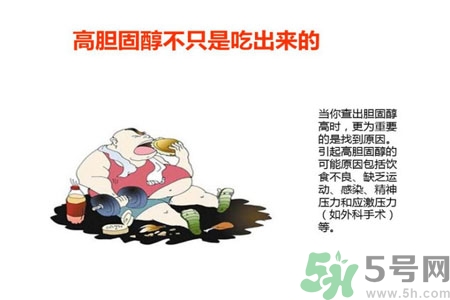 高膽固醇人群該怎么辦？膽固醇高需注意什么？