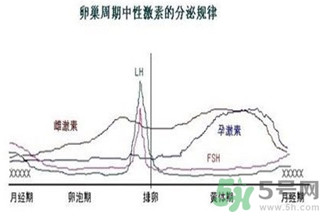 如何分清常見的激素藥？如何正確使用激素類藥物？