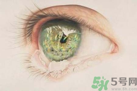 睡覺時流眼淚是怎么回事？如何保護(hù)眼睛？