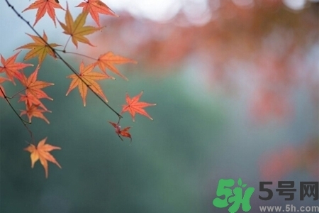 秋天換季病有哪些？秋天該如何保健養(yǎng)生呢？