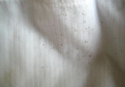衣服長黑點怎么洗掉？衣服上長霉點怎么去除？