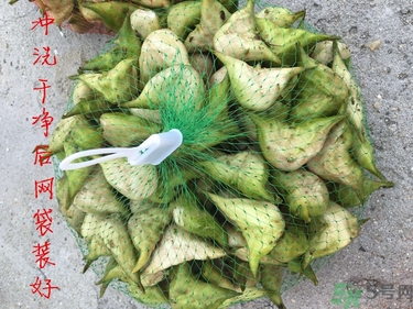 菱角和豬肉能一起吃嗎？菱角和什么不能一起吃？
