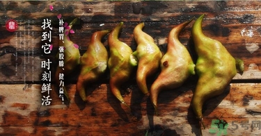 菱角和豬肉能一起吃嗎？菱角和什么不能一起吃？